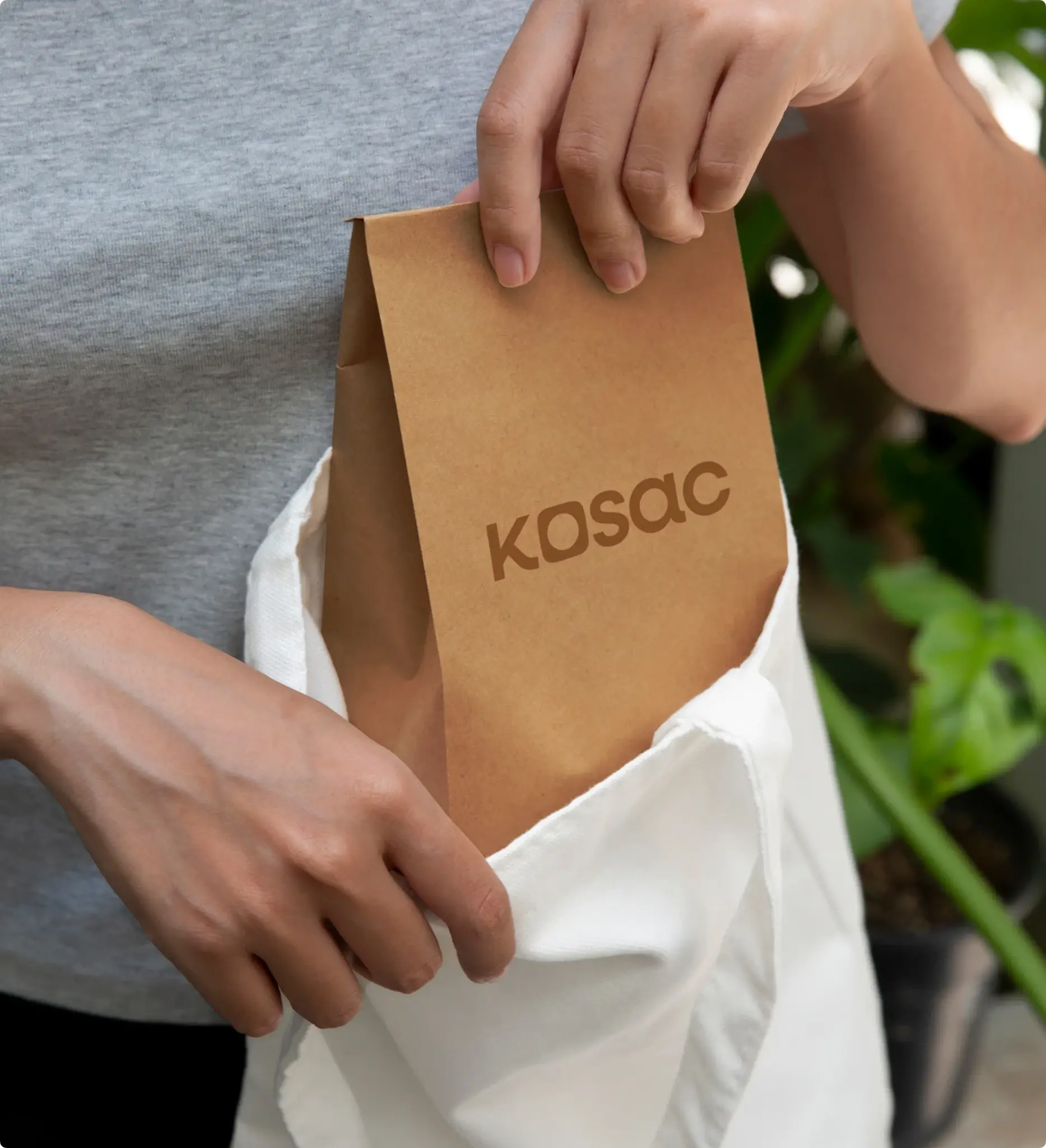 Biodegradable Direct-Ship Mailer